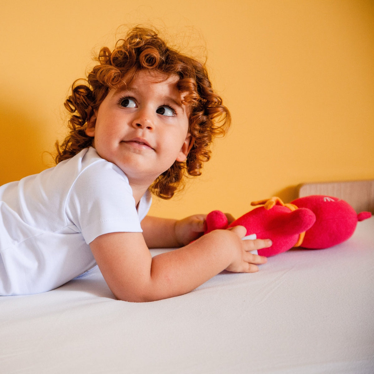 Gato Framboesa Naninha Studio Pipoca