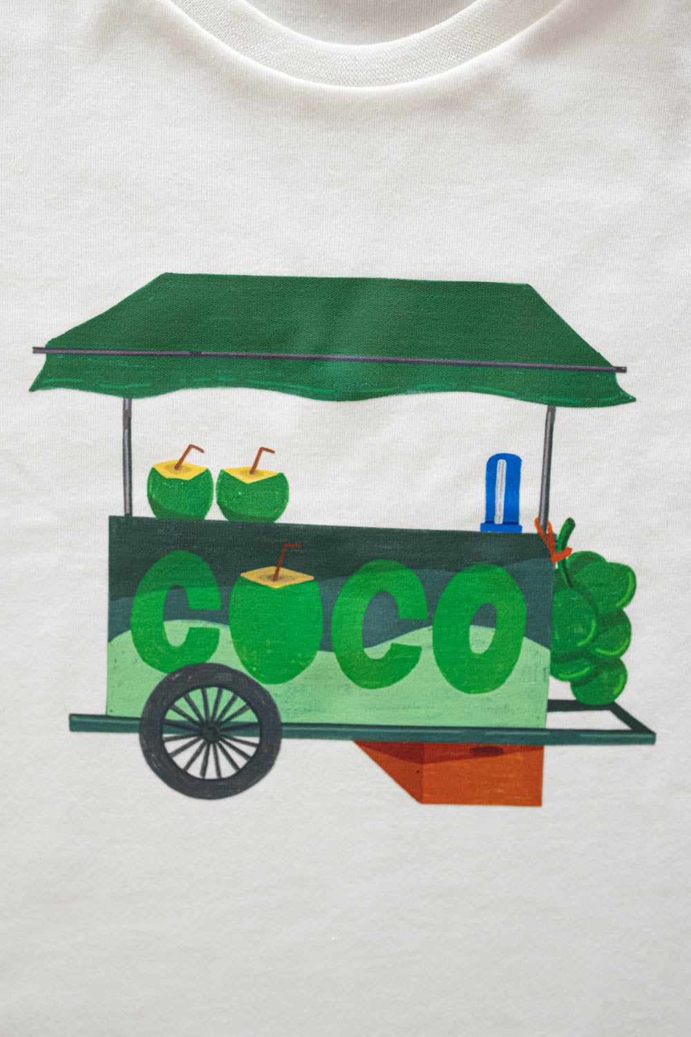 Conjunto Infantil Carrinho de Coco Verde