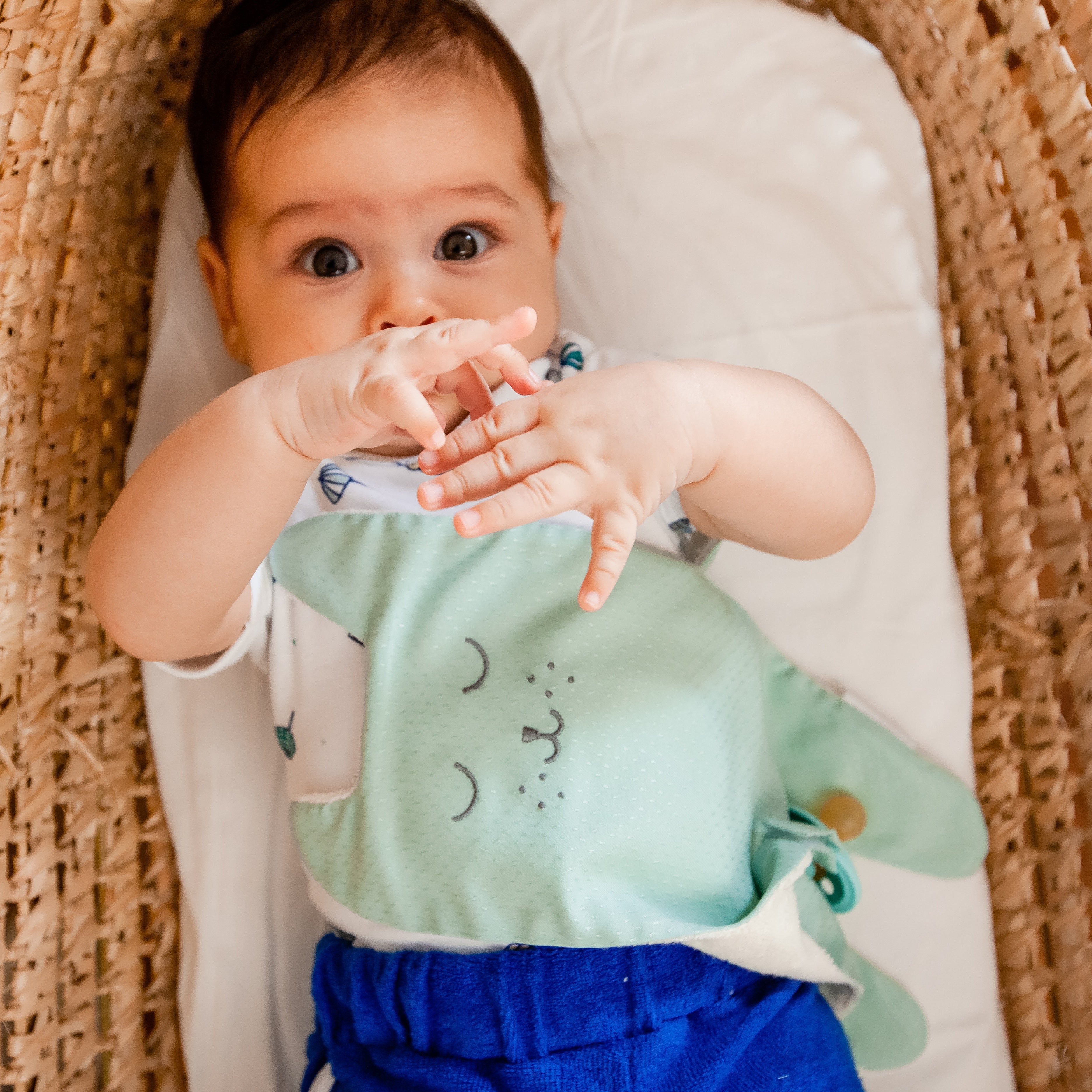 Naninha Gato Celadon