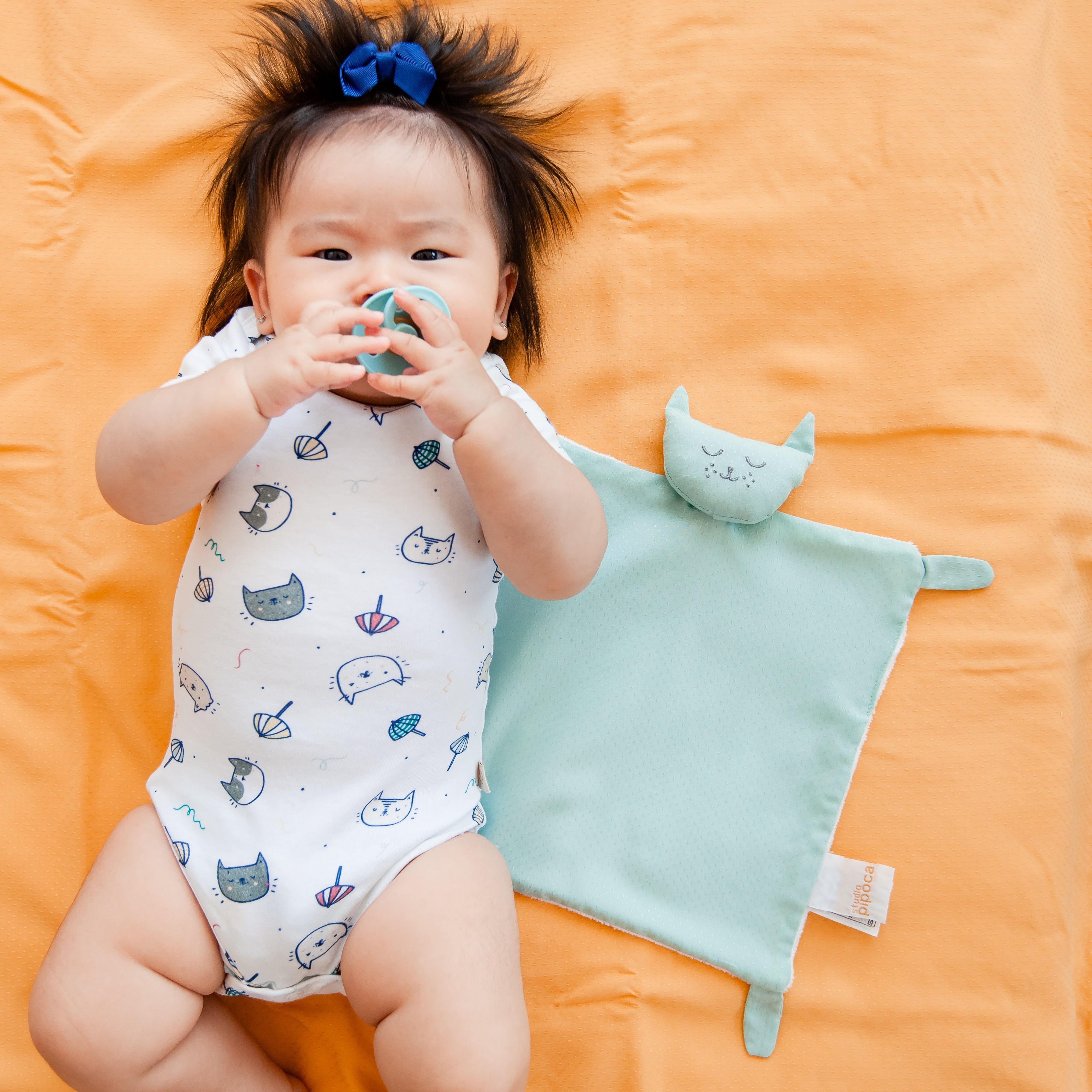 Naninha com Cabeça de Gatinho Celadon