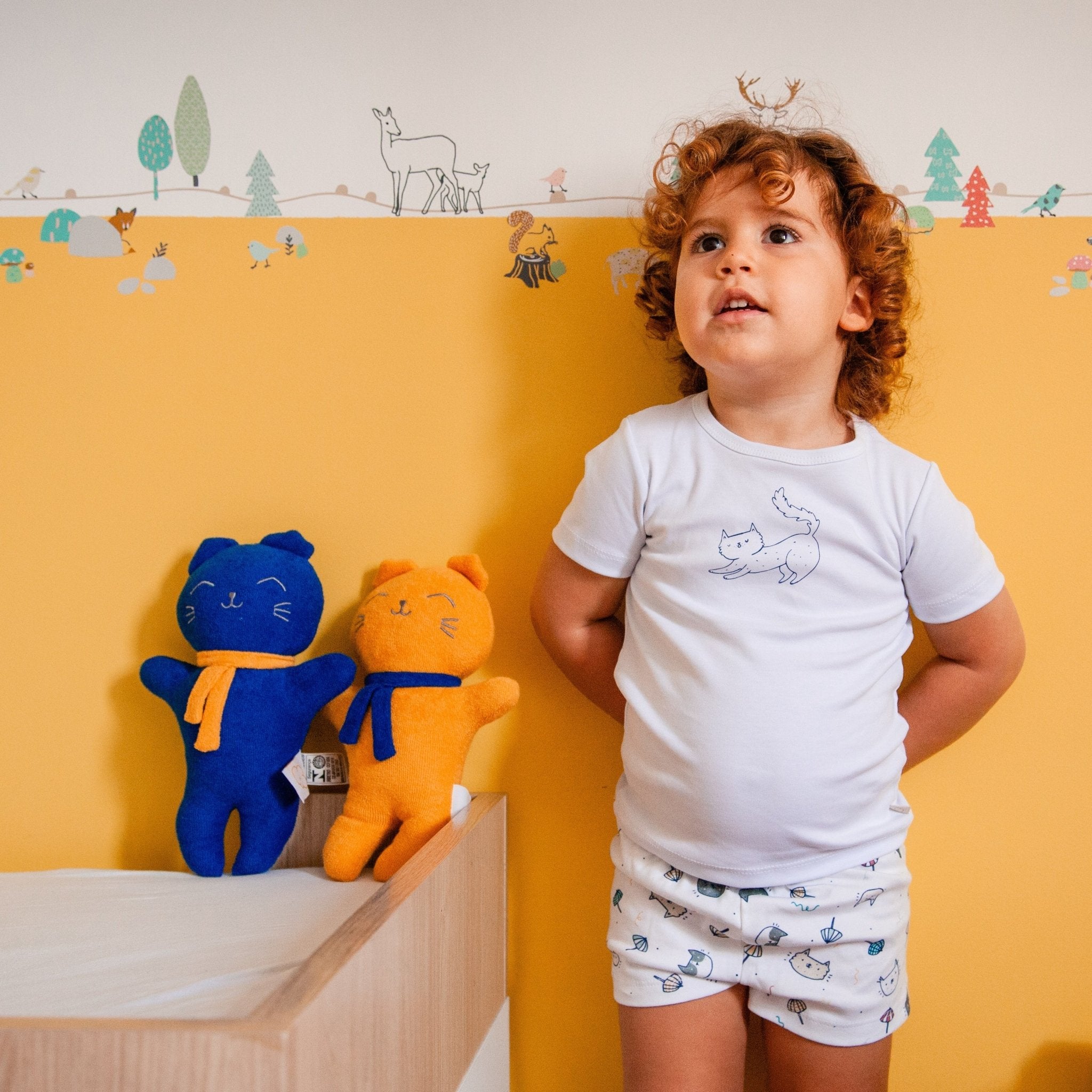 Gato Marinho Naninha Studio Pipoca