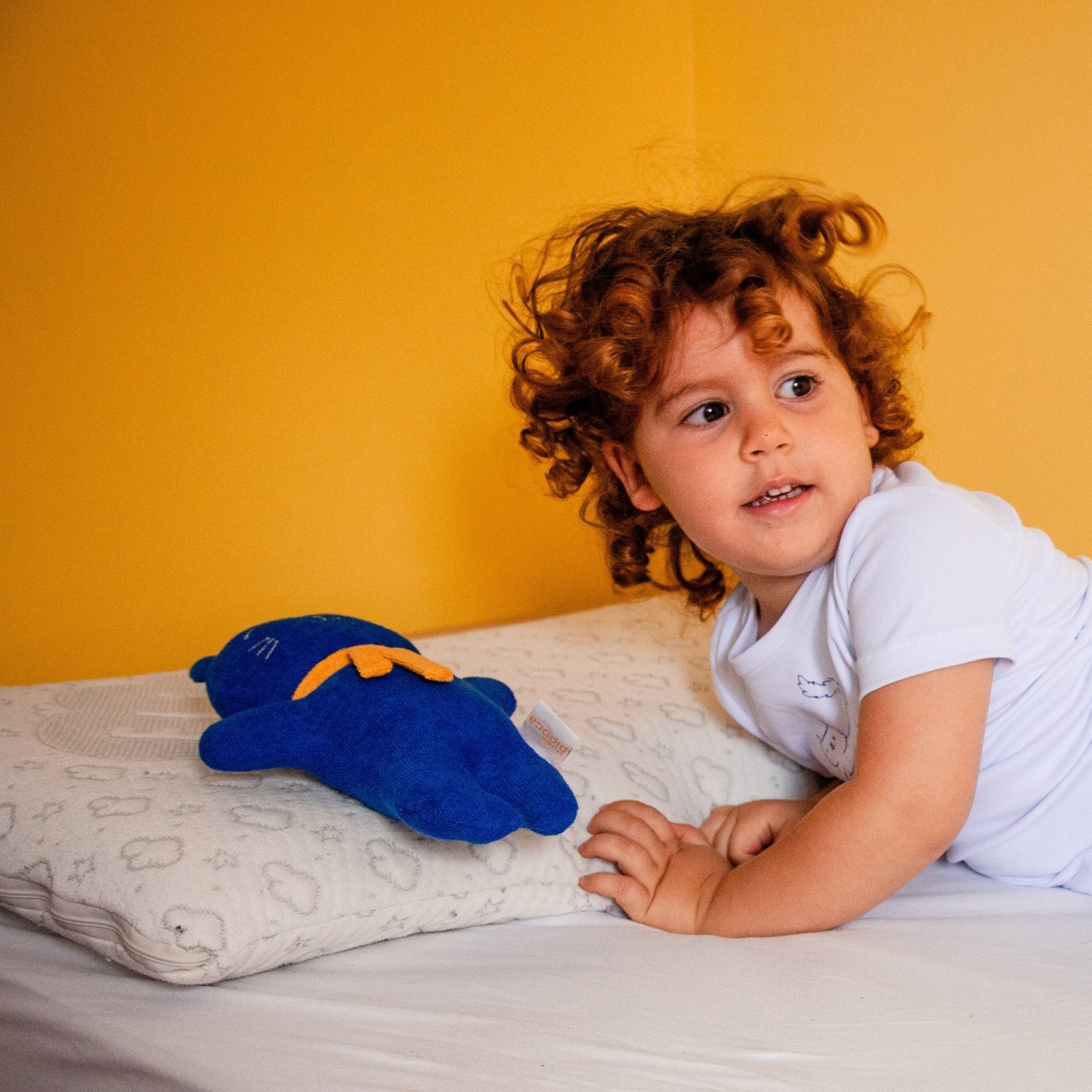 Gato Marinho Naninha Studio Pipoca